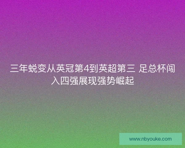 三年蜕变从英冠第4到英超第三 足总杯闯入四强展现强势崛起